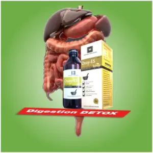 Otoy - Es Blood Purifier Syrup